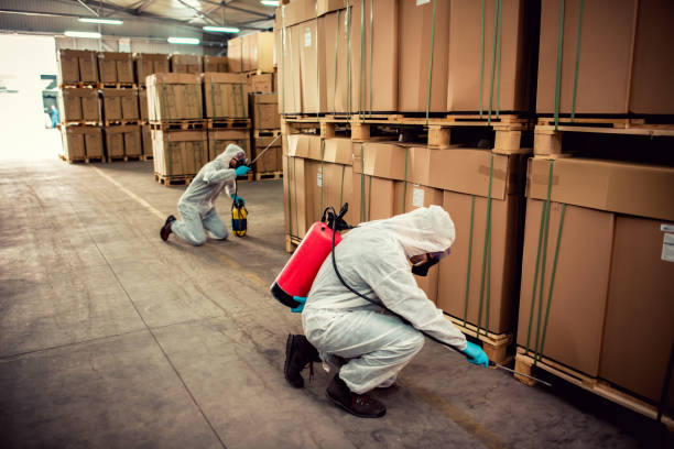 Best Affordable Pest Control Services  in Sugar Creek, MO