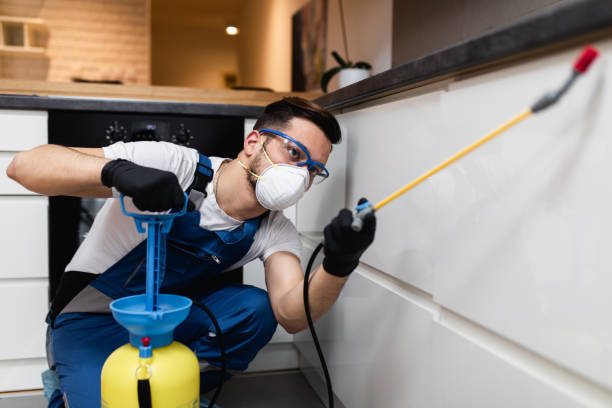 Pest Control for Restaurants in Sugar Creek, MO