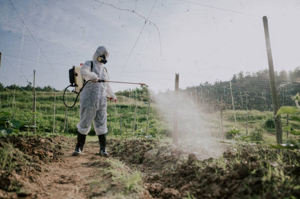 Best Pest Removal Services  in Sugar Creek, MO