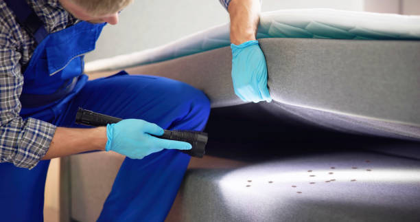 Best Pest Control for Businesses  in Sugar Creek, MO